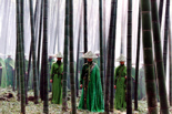 Shi Mian Mai Fu 